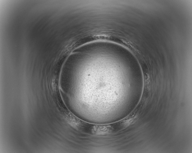 X0000059800671200510241331