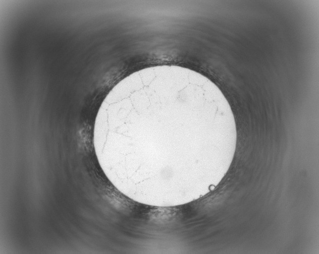 X0000059800672200510241331