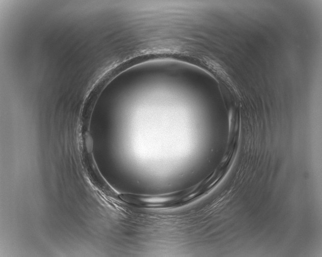 X0000059800676200510241330