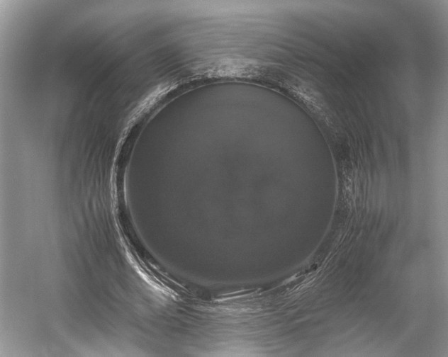 X0000059800678200510241330