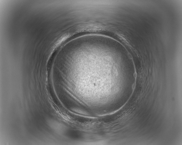 X0000059800679200510241330