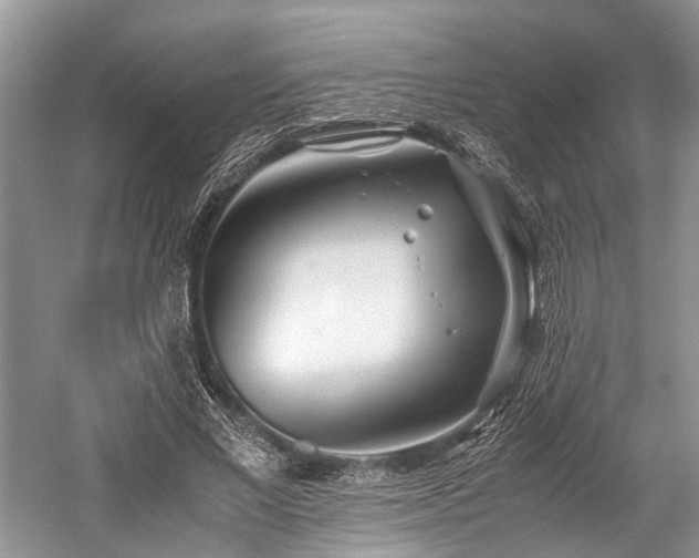 X0000059800685200510241330