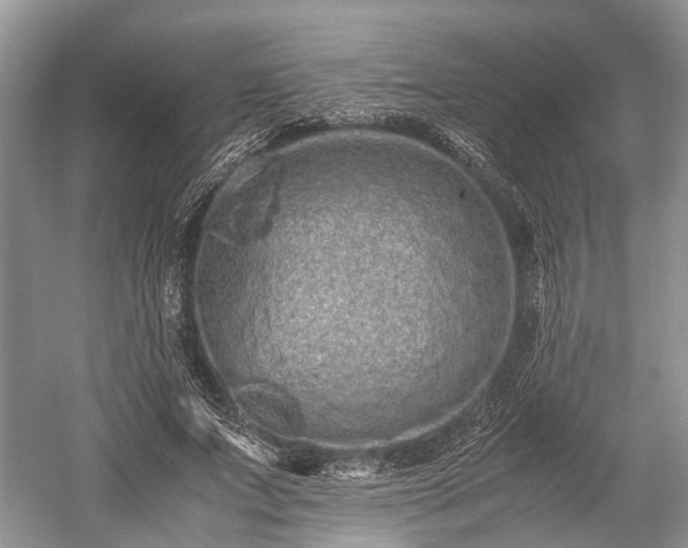 X0000059800687200510241330