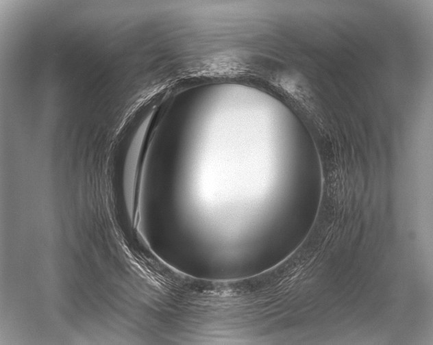 X0000059800688200510241329