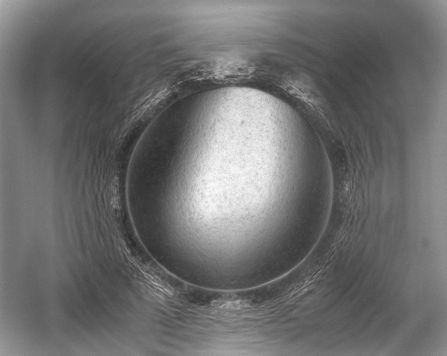 X0000059800689200510241329