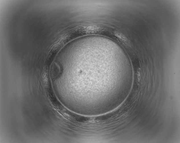 X0000059800691200510241329