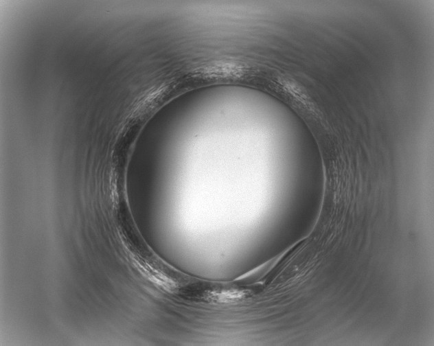 X0000059800692200510241329