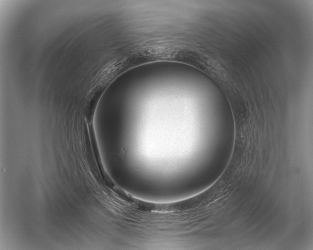 X0000059800693200510241329