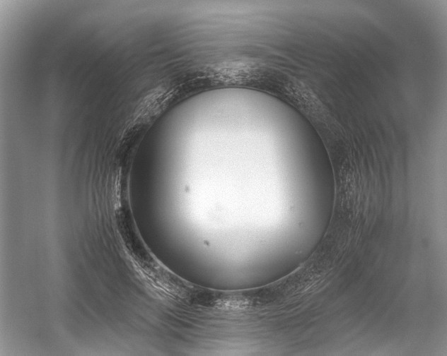 X0000059800694200510241329