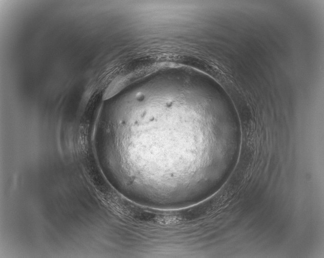 X0000059800695200510241329