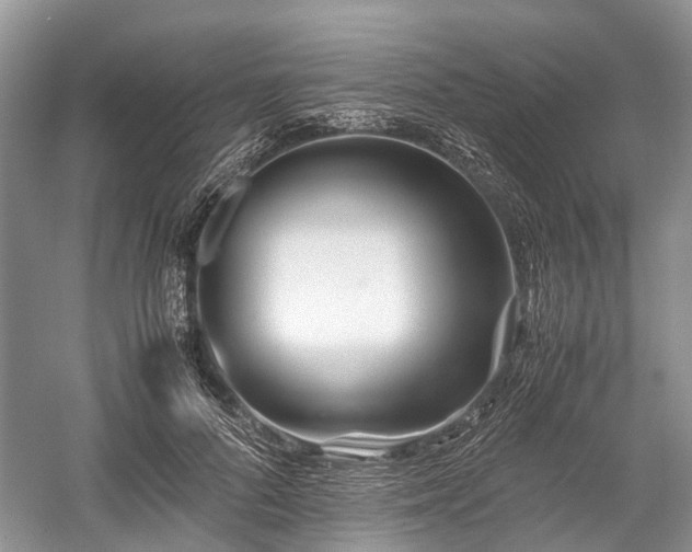 X0000059800696200510241329