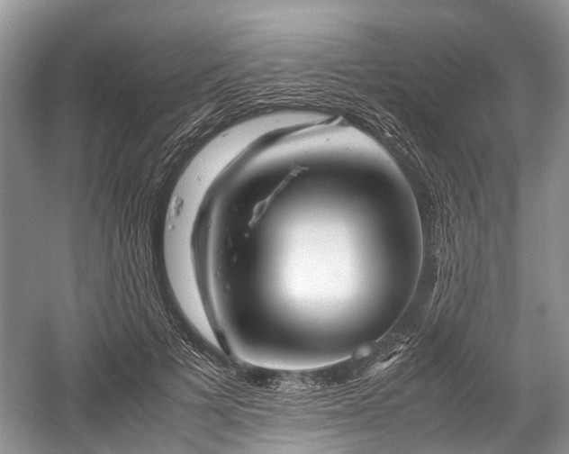 X0000059800697200510241329