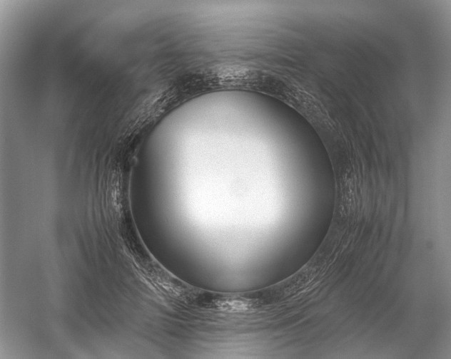 X0000059800698200510241329