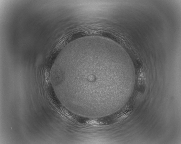 X0000059800699200510241329