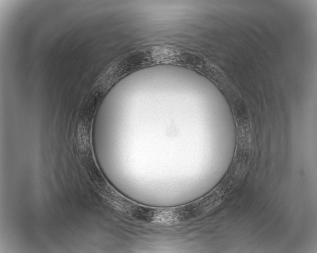 X0000059800705200510241329