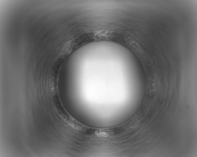 X0000059800706200510241329