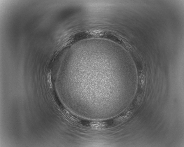 X0000059800707200510241329