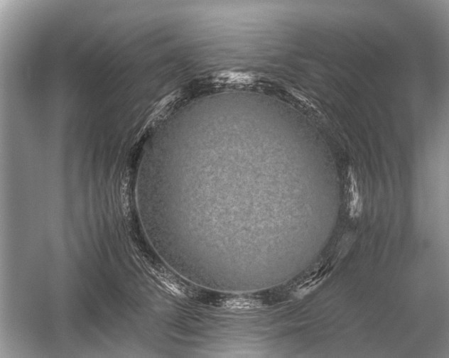 X0000059800708200510241329