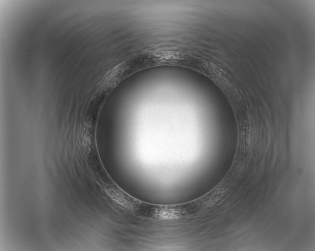 X0000059800710200510241329