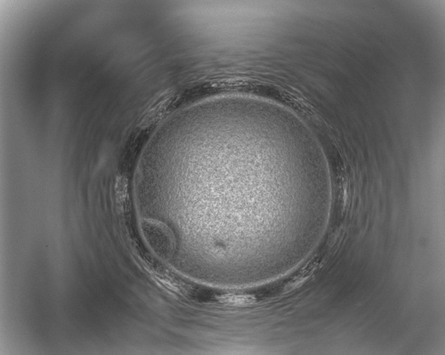 X0000059800711200510241329