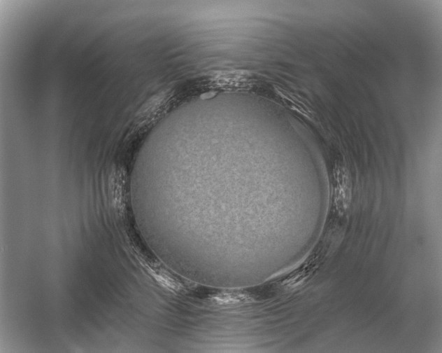 X0000059800712200510241329