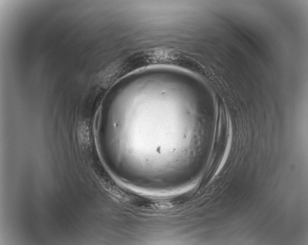 X0000059800715200510241329