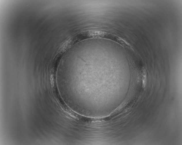 X0000059800716200510241329