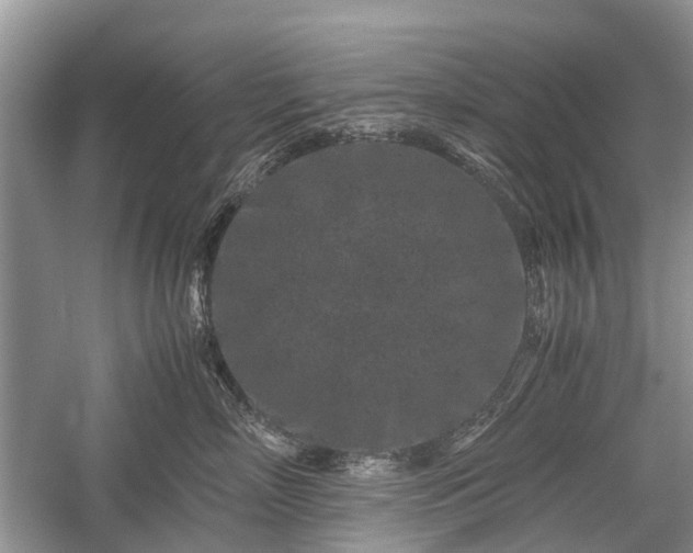 X0000059800718200510241329