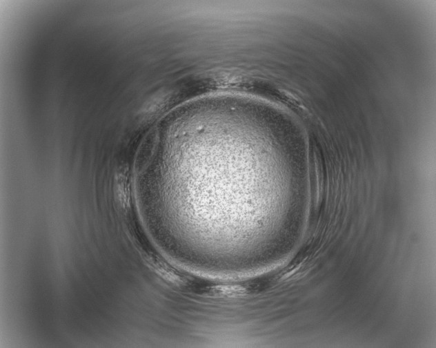 X0000059800719200510241329