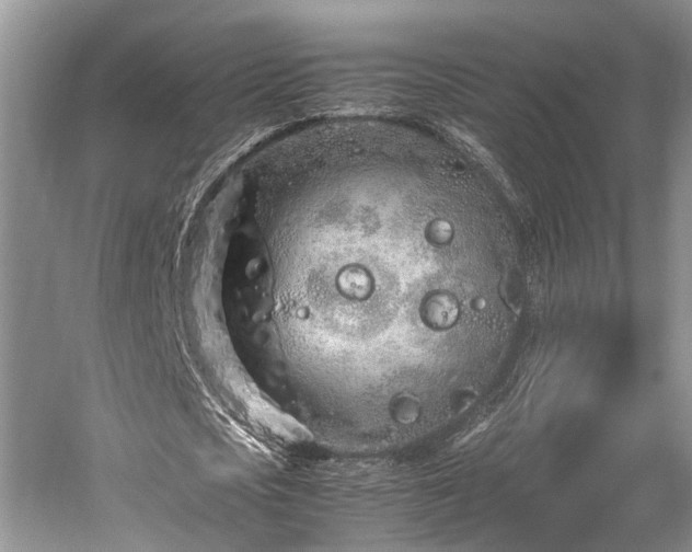 X0000059800721200510241328