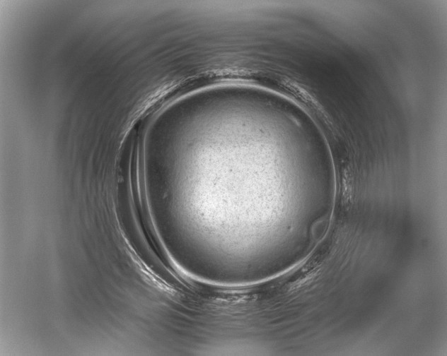 X0000059800725200510241328