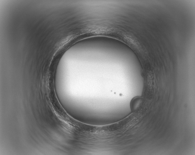 X0000059800730200510241328