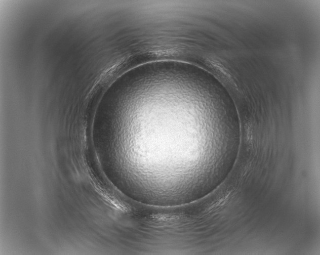 X0000059800733200510241328