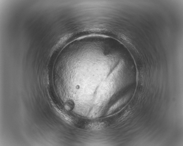 X0000059800734200510241328