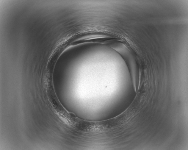 X0000059800736200510241328