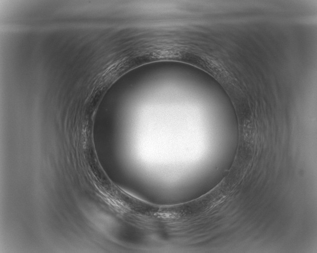 X0000059800741200510241328