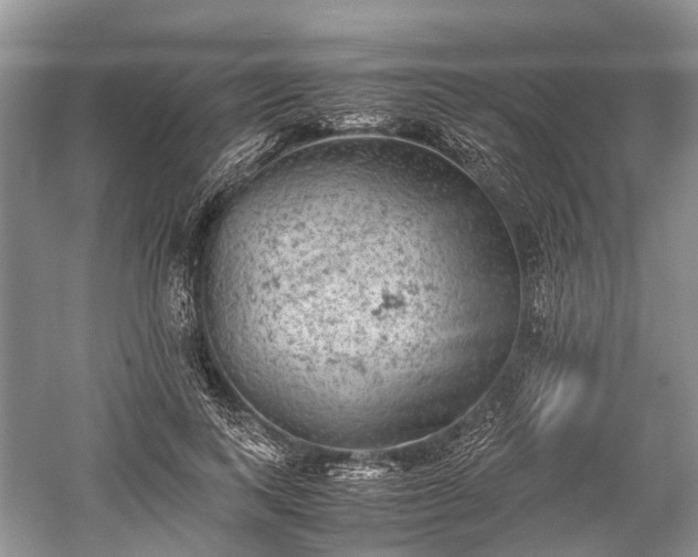 X0000059800743200510241329