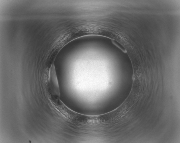 X0000059800744200510241329