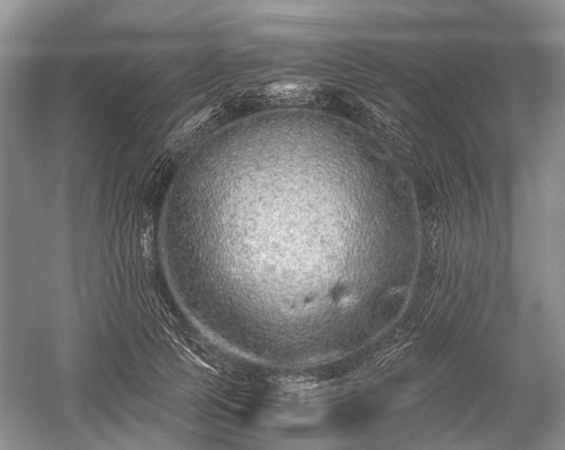 X0000059800745200510241329