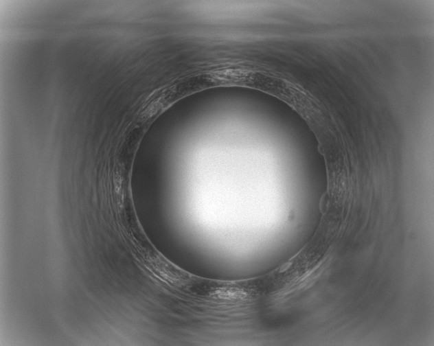 X0000059800749200510241329