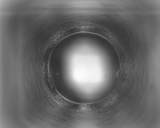 X0000059800750200510241329