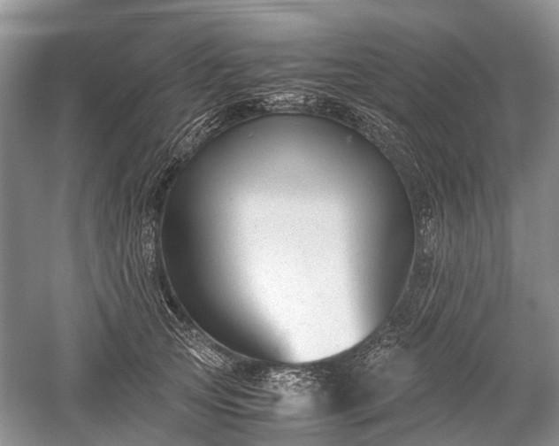 X0000059800753200510241329