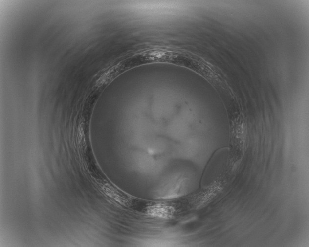 X0000059800754200510241329