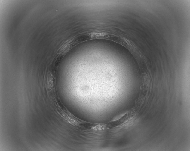 X0000059800761200510241329