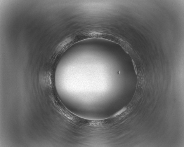 X0000059800762200510241329