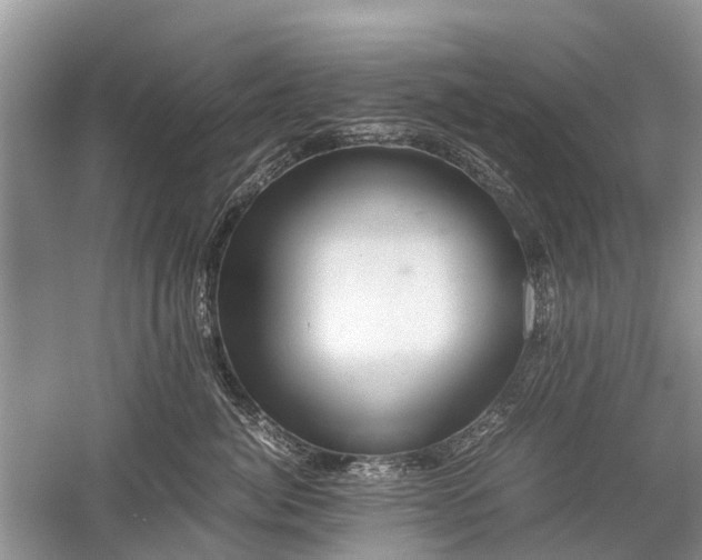 X0000059800764200510241329