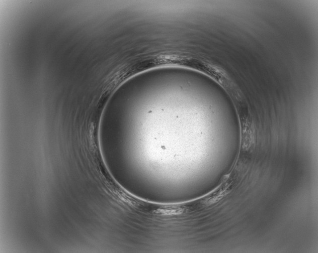 X0000059800765200510241329