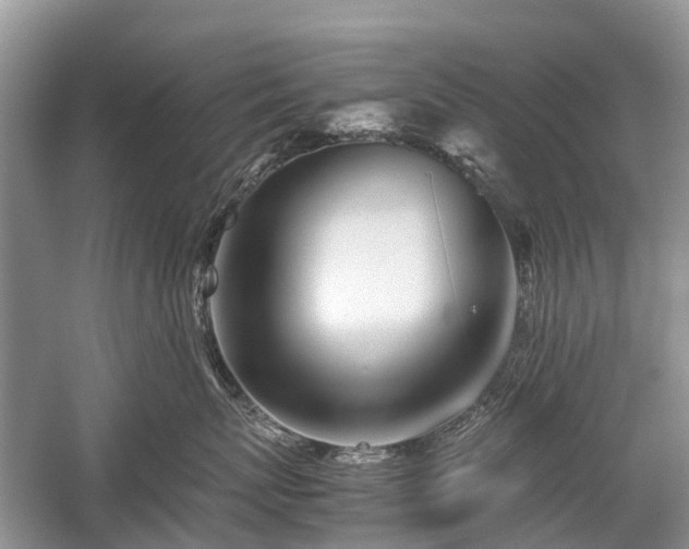 X0000059800767200510241329