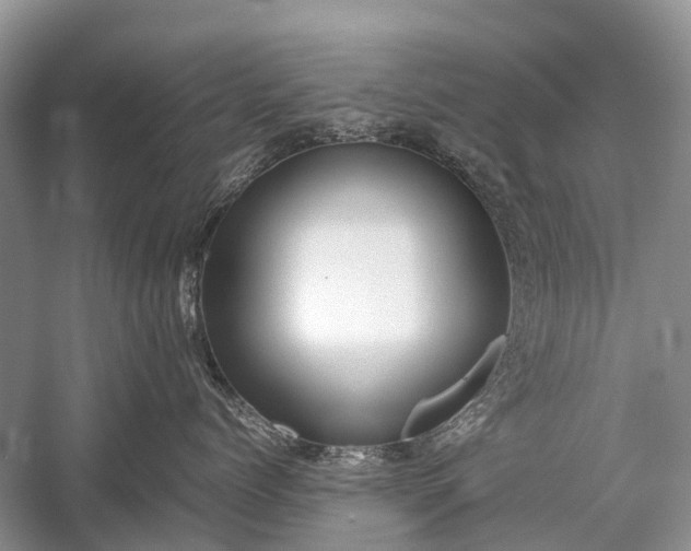 X0000059800768200510241329