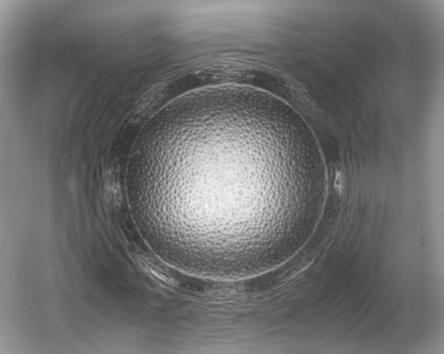 X0000059800771200510241328